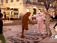 "Animais à Solta" - Pedro Fernandes - 5 Para a Meia Noite