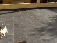 Gabriel , Ana Luiza ,Marina e Mel jogando futebol kkk