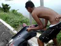 O idiota e a moto, não tem como não rir ! UHASASUHASUH' muito engraçado