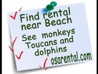 Puerto Jimenez Zip Line Tours- Canopy Tour, Osa Peninsula, Corcovado National Park.