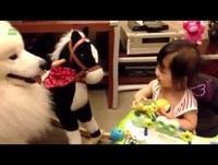 Whatsapp Videos Engraçados Animais Engraçados e Criança Vídeos Engraçados 2014