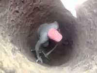 Funny Memes #02 - Oh Desgraça do Buraco FEDORENTO!