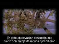 La Realidad es una Ilusión (1 de 2)