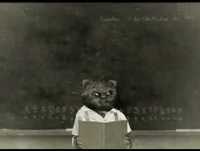 Bruno Aleixo Na Escola 03- O Outono