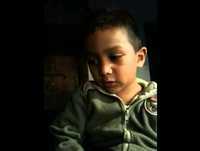 Humor de Aurora fan's