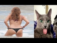 Videos engraçados - Os videos mais engraçados 2014 Tombos engraçados Melhores videos engraçados 2014