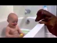 Videos engraçados para rir