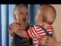 Whatsapp Videos Engraçados 2014 - Tombos Bebes Os videos mais engraçadoss 2014