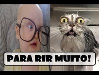 Videos engraçados - As imagens mais engraçadas 2014 Animais e Bebes engraçados 2014 para rir