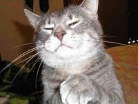 Best funny pranks and fails-Funny fails 2014 part13