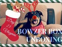 December Bowzer Box Unboxing | Feat. Caia! | Vlogmas Day 23