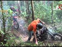 Ferrugem 2014 Apanhados