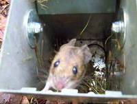 zap presentatie Zoka Zuid-limburg JNM 2011