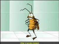 Como Matar Uma Barata!