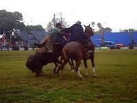jineteadas rural prado 2012 HD