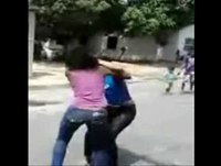 Video engraçado ( Brigas Acidentes Animais )