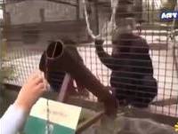 Подборка Приколов !!!  Funny FAIL Compilation | Best Fails ! Funniest Videos Compilation