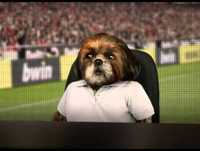 Aleixo na bwin cup - Grupo B