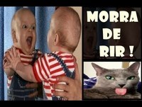 Videos engraçados - Os videos mais engraçados 2014 Animais Tombos Bebes engraçados 2014 Funny Pranks