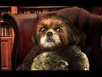 Bruno Aleixo no Radio  3/12/2009_8h20