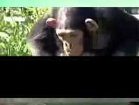 cenas hilariantes mto legais