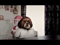 O Programa do Aleixo S02E02 Part 2-3