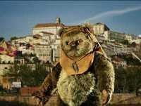 Os Conselhos Que Vos Deixo - 10