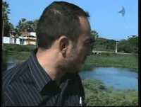 Centenas de peixes aparecem mortos em Maracanaú