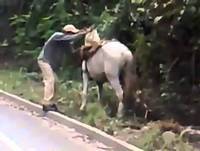 Bêbado Tentando Subir No Cavalo! Muito Engraçado! Vídeos Engraçados 2014