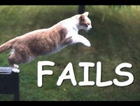 Cats Jump Fails Compilation 2014 [NEW]
