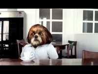 O Programa do Aleixo S02E01 Part 3-3