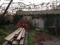 Romenos apanhados a furtar alumínio em Guardizela