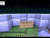 total wipe out minecraft style