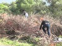"Homem do OH!!! - Plantação de Cannabis" - Nuno Markl - 5 Para a Meia Noite