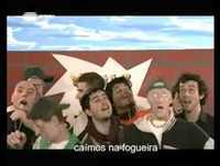 Contra Informação Macacos do Chinês