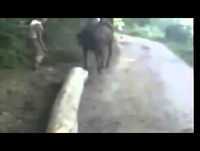 Rapaz bate em cavalo e leva coice impressionante