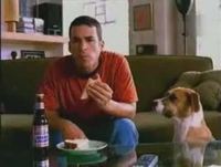 Comerciais engraçados de cerveja