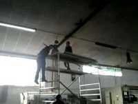 Cromo a tentar subir escada