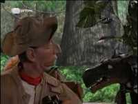 FCP Vida Selvagem (Contra-Informação)