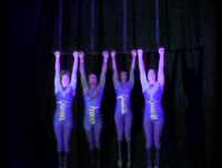 Zip-Zap Quad-Trapeze 20100807