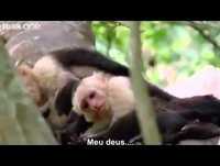 Helen Helen Helen Helen  Legendado