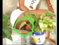 Um indivíduo sabe que... / Nilton / 5 Para a Meia Noite