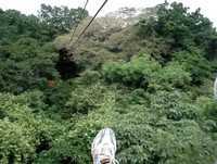 Zip line on the Canopy Tour.  Guanacaste, Costa Rica