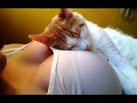 Funny Videos Compilation - Best of August 2014 - Funny Fails, Funny Vines, Funny Prank Videos