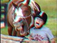 OS ANIMAIS MAIS ENGRAÇADOS DA INTERNET 2014