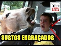 PRA CAGAR DE TANTO RIR Os Sustos Mais Engraçados do Youtube Videos Cassetadas