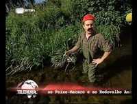 Telerural - Abre Pesca ao Peixe-Macaco e ao Robalo Anão