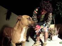 BONG BELLY PICKNEY - FUSING - 233