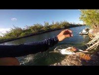 Fail Compilation July / August 2014 || TNL