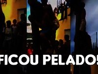Foi subir no pau, se ferrou! kkk - Vídeos Engraçados™